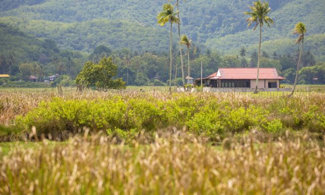 Langkawi Sightseeing In Langkawi Tours | isango.com